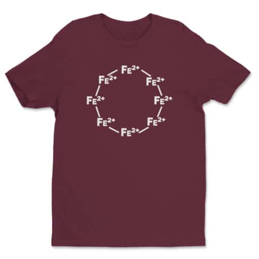 Ferrous Wheel T-Shirt | Leonard Hofstadter | The Big Bang Theory