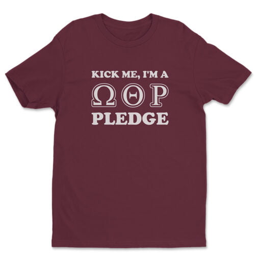 Kick Me I'm A Omega Theta Rho Pledge T-Shirt | Troy Barnes And Abed | Community